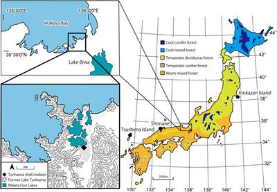 Reconstructing diets of hunted <mark class="highlighted">sika deer</mark> from Torihama Shell Midden site (ca. 6,000 years ago) by dental microwear texture analysis